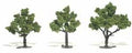 Woodland Scenics 1506 Trees 3 -4  Light Green