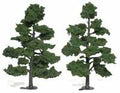 Woodland Scenics 1518 Trees 7 -8  Medium Green