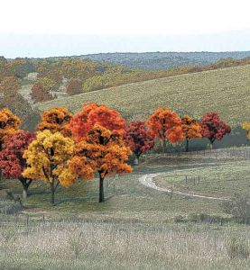 Woodland Scenics 1575 Bulk Trees 3/4 -2  Fall Colors/38pc