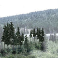 Woodland Scenics 1580 Bulk Trees 2-1/2 -4  Conifers/33pc