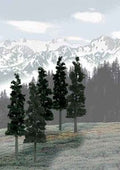 Woodland Scenics 1582 Bulk Trees 6 -8  Conifers/12pc
