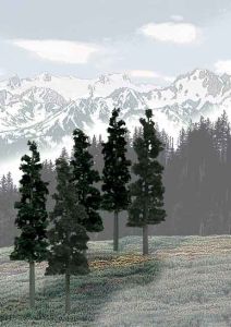 Woodland Scenics 1582 Bulk Trees 6 -8  Conifers/12pc
