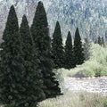 Woodland Scenics 1585 Bulk Trees 2 -4  Evergreen/18pc