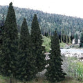 Woodland Scenics 1586 Bulk Trees 4 -6  Evergreen/13pc