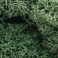 Woodland Scenics 162 Lichen/Light Green
