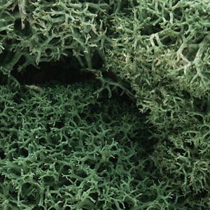 Woodland Scenics 162 Lichen/Light Green