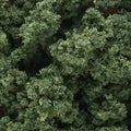 Woodland Scenics 1636 Shaker Underbrush/Medium Green
