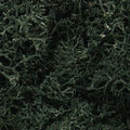 Woodland Scenics 164 Lichen/Dark Green