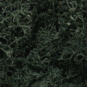 Woodland Scenics 164 Lichen/Dark Green