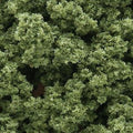 Woodland Scenics 1645 Shaker Bushes/Light Green