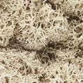 Woodland Scenics 166 Lichen/Natural
