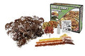 Woodland Scenics 1663 Autumn Mix Forest Canopy