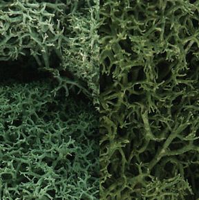 Woodland Scenics 167 Lichen/Light Green Mix