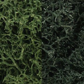 Woodland Scenics 168 Lichen/Dark Green Mix