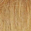 Woodland Scenics 172 Field Grass/Harvest Gold