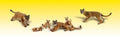 Woodland Scenics 1949 HO Cougars & Cubs