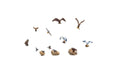 Woodland Scenics 1970 HO Birds and Nests