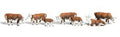 Woodland Scenics 2144 N Hereford Cows