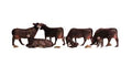 Woodland Scenics 2217 N Black Angus Cows