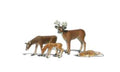 Woodland Scenics 2543 G Buck & Family