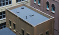 Woodland Scenics 30190 HO DPM Roof & Trim Kit