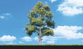 Woodland Scenics 3534 Waters Edge Trees 3 - 4