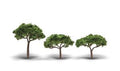 Woodland Scenics 3555 2.3 3.3 Canopy Trees 3/pkg