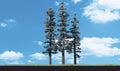 Woodland Scenics 3560 Standing Timber Trees 2.5  4