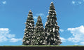 Woodland Scenics 3567 Snow Dusted Trees 2  3.5