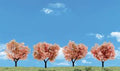 Woodland Scenics 3593 2 -3  Flowering Trees 4/pkg
