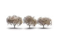 Woodland Scenics 3594 1.75 2.25 Cherry Blossom 3/pkg