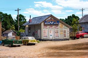 Woodland Scenics 4958 N B/U Carvers Butcher Shoppe