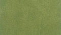 Woodland Scenics 5171 Small Grass Mat/Spring 25 x 33
