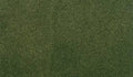 Woodland Scenics 5173 Small Grass Mat/Forest 25 x 33