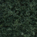 Woodland Scenics 53 Foliage/Dark Green
