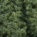 Woodland Scenics 58 Foliage Cluster/Medium Green