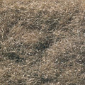Woodland Scenics 633 Flock Static Grass/Burnt Grass