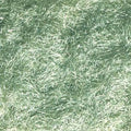 Woodland Scenics 634 Flock Static Grass/Light Green