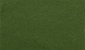 Woodland Scenics 6436 AGT Spring Grass