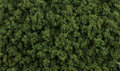 Woodland Scenics 6462 AGT Medium Green Foliage Clumps