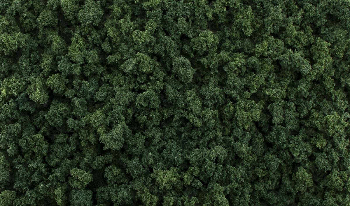 Woodland Scenics 6463 AGT Dark Green Foliage Clumps