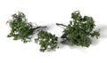 Woodland Scenics 6481 AGT Spring Brambles
