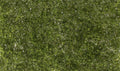 Woodland Scenics 6493 AGT Light Green Super Foliage