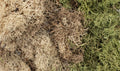 Woodland Scenics 6500 AGT Winter Mix EZ Bushes