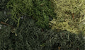 Woodland Scenics 6501 AGT Summer Mix EZ Bushes