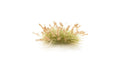 Woodland Scenics 6631 AGT Brown Seed Tufts