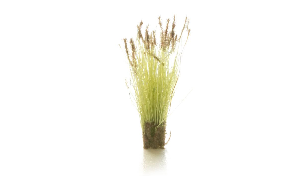 Woodland Scenics 6633 AGT Cattails Tufts