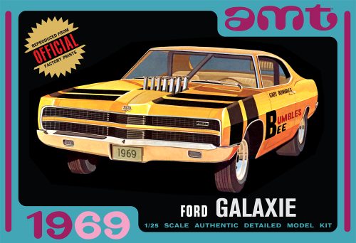 AMT Model  1373  1969 Ford Galaxie Hardtop Skill 2